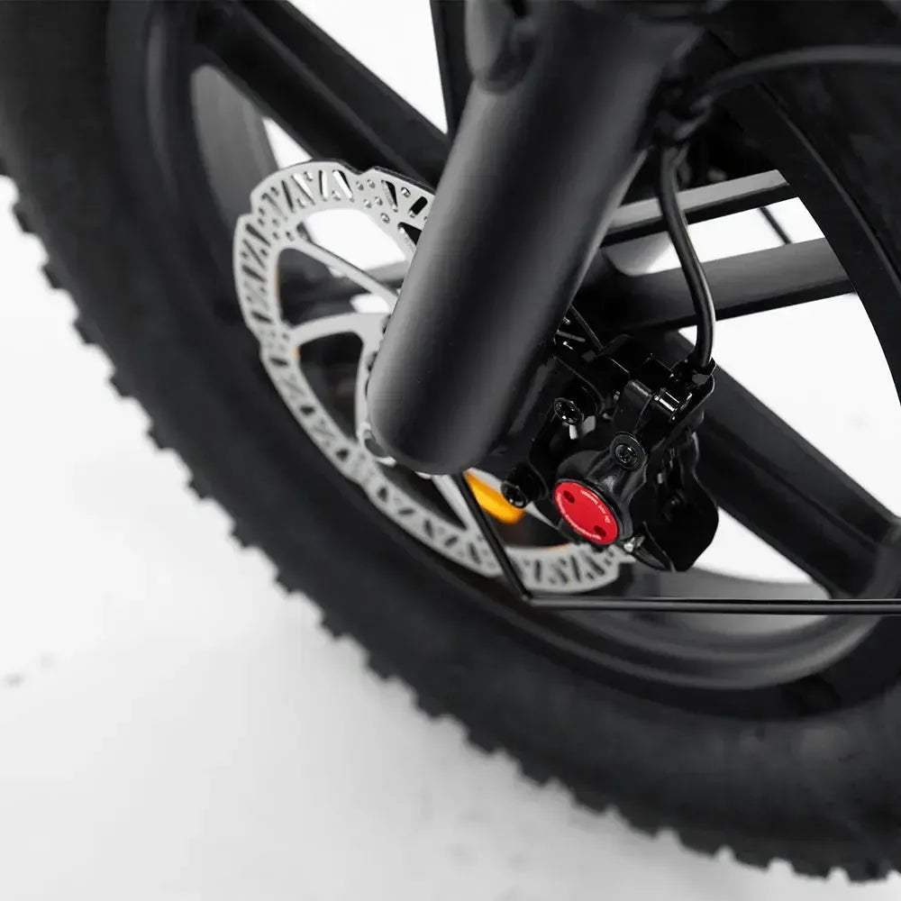 Fatbike - OUXI - C80 mini