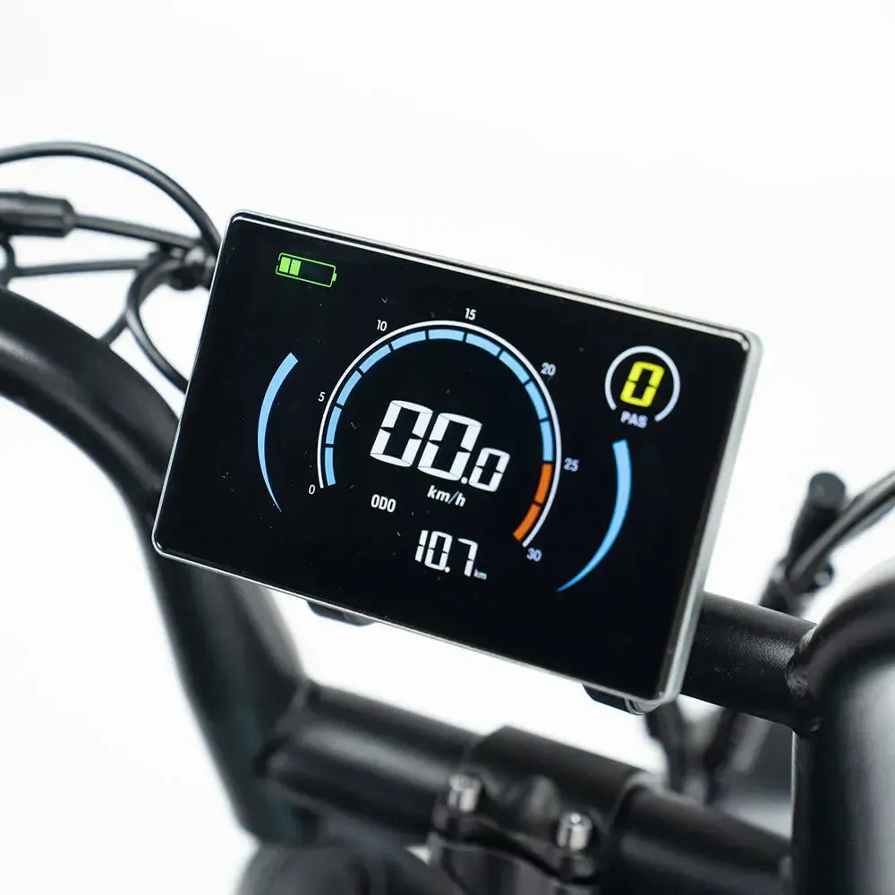 Fatbike - OUXI - C80 mini